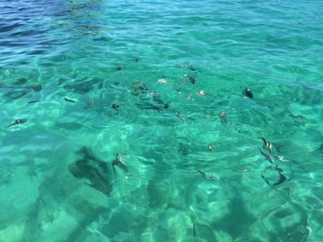 Pousada Pier 7400 Monsuaba Dış mekan fotoğraf